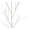 Winter Twig Branch Set of 2 – Light Green Glittered – 48.75 in Height Holiday Arrangement By Melrose - 2 of 3