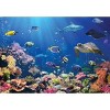 Parragon Life At The Reef Jigsaw Puzzle - 1000pc - 2 of 3