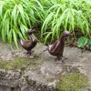Achla Designs Pair of 2 Ducklings Outdoor Garden Statue Bronze - 2 of 4