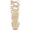 Allegra K Women's Open Toe Lace Up Clear Strap Platform Chunky Heels Sandals - 4 of 4