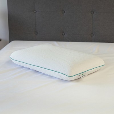 SensorPEDIC Fresh Eucalyptus Infused Memory Foam Pillow