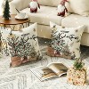 Merry Christmas Eucalyptus Red Berries Throw Pillow Covers Set of 2, 18 x 18 Inch - 2 of 3