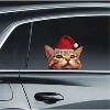 LEMONSODA Car Window Decal -  3D -  (Orange Cat Sa - 2 of 2