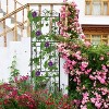 Artloge 2 PCS  Metal Garden Border Trellis - 71.6" Tall Climbing Plant Fence for Outdoor Patio & Backyard Lawn Edging - 2 of 4