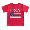 The Juniper Shop USA Flag Solid Toddler Short Sleeve Tee - 3 of 4