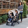 Baby Trend Sit N' Stand Multi-Use Easy Fold Travel Toddler and Baby Double Stroller with Safety Harness and Storage Basket - 4 of 4