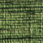green/black