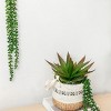 GlasFlength Artificial Plants Small Fake Plants Artificial Decoration Bead Grass Faux Plants for Indoor Home Decor, Green, 27.2"*3.5"*2" - 2 of 4