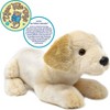 Lorrie The Labrador - 17 Inch Stuffed Animal Plush - By Viahart - image 3 of 4