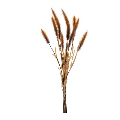 Fall Foxtail Grass Bundle (Set of 6)
