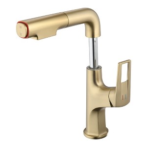 Grungis Pull-Down Bathroom Sink Faucet,Bathroom Faucets with Lift Spout and Dual Spray Modes for Home Sinks - 1 of 4