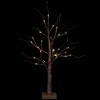 Northlight LED Lighted Christmas Twig Tree - 24" - Brown - Warm White Lights - 3 of 4