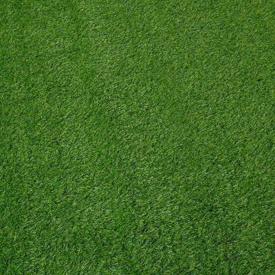 Green Artificial Grass Indoor/Outdoor Pet Training Area Rug