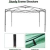 Outdoor Greenhouse, 6 x 8 ft Portable Walk-In Greenhouse with Roll-Up Zipper Entry Door and Roll-Up Side Windows, Instant Pop-Up Canopy - 2 of 4