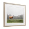 Stupell Industries Highland Grace Cattle Framed Print Under Glass - 2 of 4