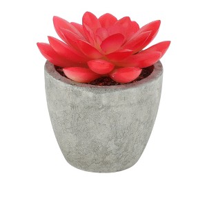 Unique Bargains Artificial Plants Small Graptopetalum in Mini Pulp Plastic 2.76"x2.76"x2.95" 1 Pc - 1 of 4