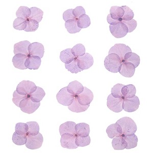 P Light Purple Natural Dried Craft Accessories Dried Pressed Flower 0.6-1 Inch Light Purple 48 Pcs - 1 of 4