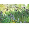 Gardeners Supply Company Jardin Bird Cage Plant Support | Large Sturdy Grow-Through Steel Flower Trellis and Garden Decor | Best to Support Peonies, - 4 of 4