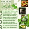 Rani Brand Authentic Indian Foods | Fresh Leaves - 2 of 4