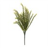 Baby Tears Foliage Bush (Set of 6) - 3 of 3