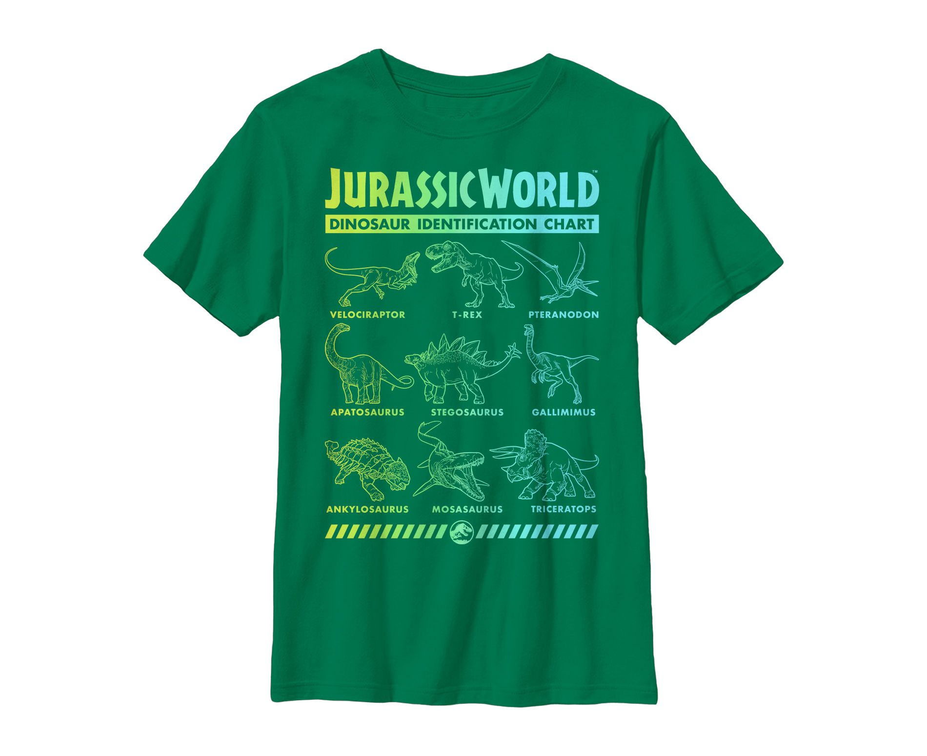 Boy's Jurassic World: Fallen Kingdom Dinosaur Identification Card T-Shirt