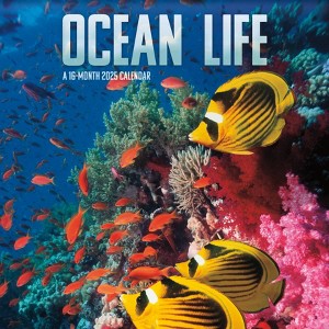 Trends International 2025 Ocean Life Wall Calendar: Monthly 12x12" Paper, Multicolored, Saddle Stitch, All Ages, 2024-2025 - 1 of 4