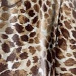 natural textured animal