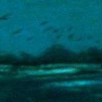 clear push pins bundle