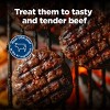 Blue Buffalo Nudges Grillers Natural Dog Treats with Beef - 16oz - 3 of 4