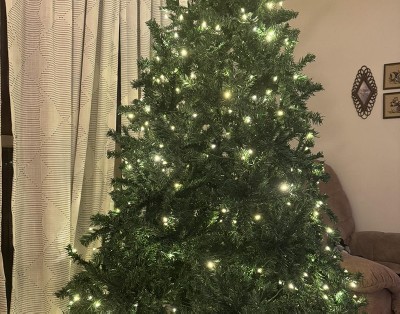 Guest review image 2 of 4, zoom in