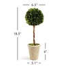 Plum & Post Boxwood Single Faux (Fake) Sphere Topiary 18.5" - 3 of 3