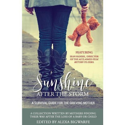 Sunshine After the Storm - by  Alexa H Bigwarfe (Paperback)