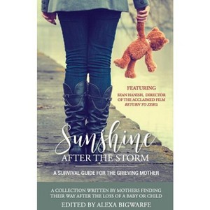 Sunshine After the Storm - by  Alexa H Bigwarfe (Paperback) - 1 of 1