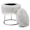 BirdRock Home Round Grey Faux Fur Foot Stool Storage Ottoman with Silver Legs - 2 of 4