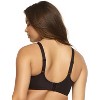 Paramour by Felina Women's Topaz Breathable Contour Bra 2-Pack - 3 of 3