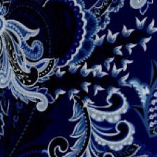 navy paisley