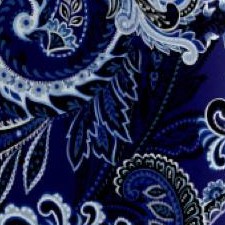 navy paisley