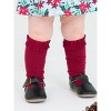 RuffleButts Toddler Girls 3-Pack Knee High Socks - 3 of 4