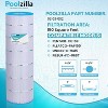 Poolzilla Replacement Pool Filter for CC150, CCRP150, PAP150, C-9415, R173216, 59054300, Filbur FC-0687, 160317, 160355, 160352, Predator 150 - 3 of 4