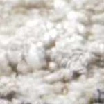 ivory, cream, charcoal, gray, tan, olive