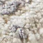 ivory, cream, charcoal, gray, tan, olive