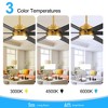 Airsurfer 65" Color-Changing LED Indoor/Covered Outdoor Ceiling Fan, 6 Plywood Blades, DC Motor, 6''/12'' Down Rods, Remote Included - 4 of 4