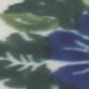 holiday flower