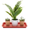 Juvale 8 Pack Plastic Plant Drip Trays for Pots, Rectangular Saucer Pans for Planters and Water Drainage, Indoors, Outdoors, Terracotta Red, 6.5x12 in - 3 of 4