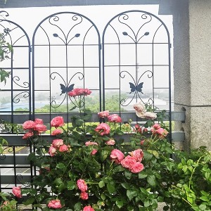 MAYEERTY 4 Pack Metal Garden Trellis 86.7 x 19.7 Inch Rustproof Climbing Plants Support Black Outdoor Flower - 1 of 4