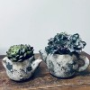Slickblue Rustic Cement Teapot Planter, Succulent or Flower Pot, 2 Sizes: Small or Medium, Indoor/Outdoor - 2 of 4