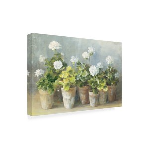 Trademark Fine Art -Danhui Nai 'White Potted Geraniums' Canvas Art - 1 of 4