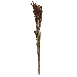 Vickerman Natural Botanicals 33" x 5" Thatch Reed, 100 grams per Unit - 1 of 4