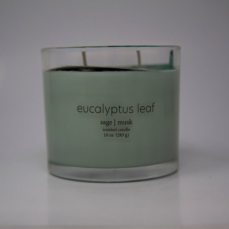  Glass Jar 2-Wick Eucalyptus Leaf Candle - Room Essentials™, 2 of 5