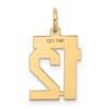 Black Bow Jewelry 14k Yellow Gold, Jersey Collection, Small Number 12 Pendant - 3 of 4